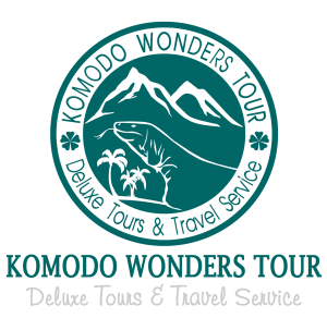 Komodo Wonders Tour Logo